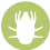 mites